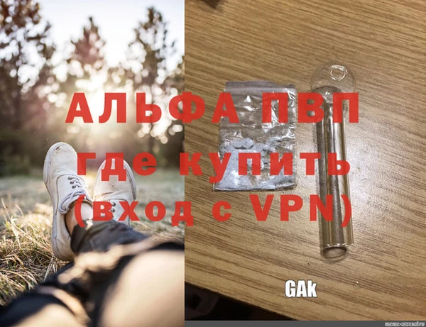 шишки Сафоново