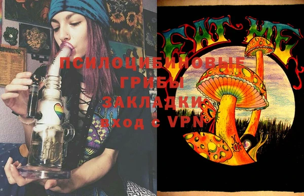 хмурый Алексеевка