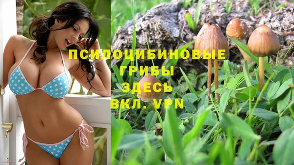 хмурый Алексеевка