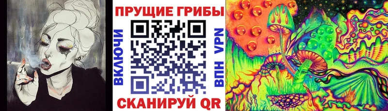 Галлюциногенные грибы ЛСД  сайты даркнета наркотические препараты  Егорьевск  купить наркотики сайты 