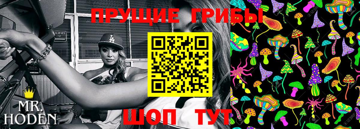 Галлюциногенные грибы прущие грибы  Вход с VPN  что такое   Егорьевск 