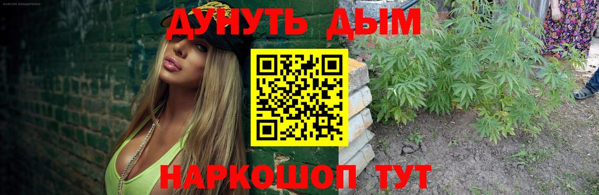 Шишки марихуана планчик  Вход с VPN  МАРИХУАНА Ganja  Марихуана White Widow  Егорьевск  Марихуана SATIVA & INDICA 